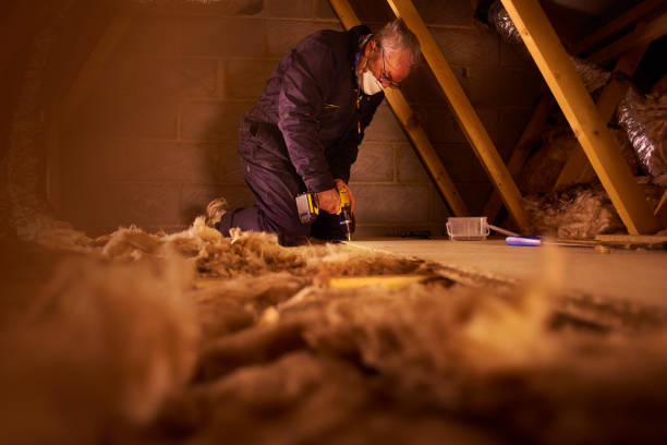 Insulation Inspection Services in Seville, FL